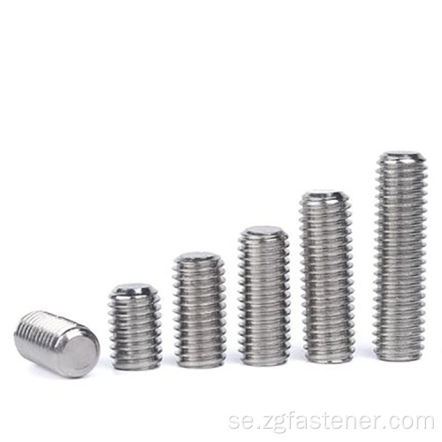 DIN913 Hexagon Hex Socket Set Screws With Flat End rostfritt stål